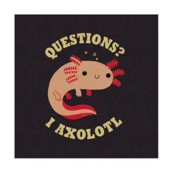Trademark Fine Art Michael Buxton 'Axolotl Questions' Canvas Art, 24x24 IC01480-C2424GG